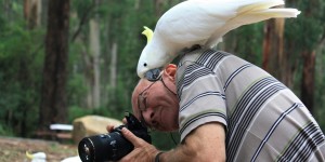 Extreme Birdwatching στην Ελλάδα: Ο εναλλακτικός τουρισμός που απογειώνεται - Οι ιδανικές περιοχές Extreme Birdwatching στην Ελλάδα: Ο εναλλακτικός τουρισμός που απογειώνεται - Οι ιδανικές περιοχές