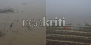 Πλημμύρισαν Κρήτη και Ρόδος: Μεγάλες καταστροφές στις καλλιέργειες - Πότε αλλάζει ο καιρός Πλημμύρισαν Κρήτη και Ρόδος: Μεγάλες καταστροφές στις καλλιέργειες - Πότε αλλάζει ο καιρός