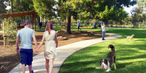Θεσσαλονίκη: Έρχεται το πρώτο πάρκο σκύλων στις 6/5 – Πού θα γίνει, τι έχει μέσα Θεσσαλονίκη: Έρχεται το πρώτο πάρκο σκύλων στις 6/5 – Πού θα γίνει, τι έχει μέσα