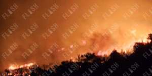 Φωτιά στη Διψέλιζα Κερατέας - Συναγερμός λόγω ισχυρών ανέμων - Στάλθηκε 112 (βίντεο) Φωτιά στη Διψέλιζα Κερατέας - Συναγερμός λόγω ισχυρών ανέμων - Στάλθηκε 112 (βίντεο)