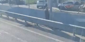 Απίστευτο: Ουρές σε διόδια γιατί οδηγός σταμάτησε το όχημά του για να ουρήσει Απίστευτο: Ουρές σε διόδια γιατί οδηγός σταμάτησε το όχημά του για να ουρήσει