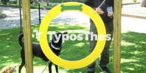 Θεσσαλονίκη: Εγκαινιάστηκε το νέο πάρκο σκύλων στο πάρκο Ξαρχάκου (ΦΩΤΟ + VIDEO) Θεσσαλονίκη: Εγκαινιάστηκε το νέο πάρκο σκύλων στο πάρκο Ξαρχάκου (ΦΩΤΟ + VIDEO)