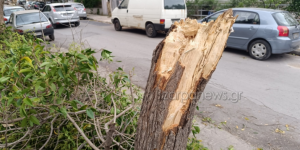 Κακοκαιρία: Προβλήματα από τα μποφόρ στην Κρήτη - Χωρίς ρεύμα περιοχές του Ηρακλείου Κακοκαιρία: Προβλήματα από τα μποφόρ στην Κρήτη - Χωρίς ρεύμα περιοχές του Ηρακλείου