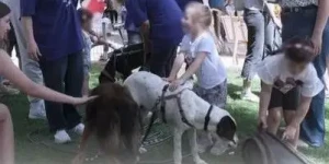 Το Άργος μετατράπηκε σε ένα ζωντανό “Φιλοζωικό Πάρκο” Το Άργος μετατράπηκε σε ένα ζωντανό “Φιλοζωικό Πάρκο”