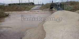 Λαμία: Πτώσεις δέντρων, διακοπές ρεύματος και απροσπέλαστοι δρόμοι από ισχυρό μπουρίνι Λαμία: Πτώσεις δέντρων, διακοπές ρεύματος και απροσπέλαστοι δρόμοι από ισχυρό μπουρίνι