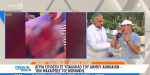 Πίσω στη δουλειά ο υπάλληλος του Δήμου Αθηναίων που μαχαιρώθηκε - «Δίνουμε ψυχή», αναφέρει Πίσω στη δουλειά ο υπάλληλος του Δήμου Αθηναίων που μαχαιρώθηκε - «Δίνουμε ψυχή», αναφέρει