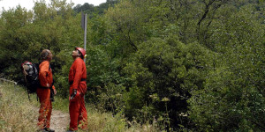 Ιεράπετρα: Συνδρομή ελικοπτέρου στη «μάχη» για τον εντοπισμό της 65χρονης Ισραηλινής συγγραφέως Ιεράπετρα: Συνδρομή ελικοπτέρου στη «μάχη» για τον εντοπισμό της 65χρονης Ισραηλινής συγγραφέως
