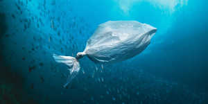 Τεράστιο επίτευγμα: Ερευνητές δημιούργησαν πλαστικό που διαλύεται στο θαλασσινό νερό σε λίγες ώρες Τεράστιο επίτευγμα: Ερευνητές δημιούργησαν πλαστικό που διαλύεται στο θαλασσινό νερό σε λίγες ώρες