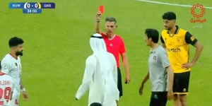 Άραβας πρόεδρος μπούκαρε στο γήπεδο και ο Σιδηρόπουλος τον απέβαλε (vid) Άραβας πρόεδρος μπούκαρε στο γήπεδο και ο Σιδηρόπουλος τον απέβαλε (vid)