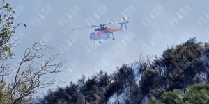 Σε ύφεση η φωτιά στον Μαραθώνα - «Κάηκαν 300 στρέμματα δάσους», είπε ο δήμαρχος Σε ύφεση η φωτιά στον Μαραθώνα - «Κάηκαν 300 στρέμματα δάσους», είπε ο δήμαρχος