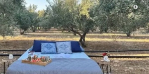 Κρήτη: Τέλος στα λουξ ξενοδοχεία – Τώρα νοικιάζουν κρεβάτι… μέσα στις ελιές, με θέα τα άστρα Κρήτη: Τέλος στα λουξ ξενοδοχεία – Τώρα νοικιάζουν κρεβάτι… μέσα στις ελιές, με θέα τα άστρα
