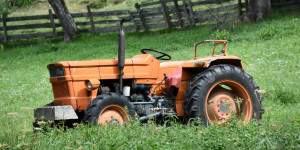 Γιατί οι αγρότες «αφήνουν ένα ραδιόφωνο να παίζει στο χωράφι» και «κάνουν γυροβολιές» Γιατί οι αγρότες «αφήνουν ένα ραδιόφωνο να παίζει στο χωράφι» και «κάνουν γυροβολιές»