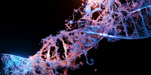 Θαυματουργό ένζυμο επιδιορθώνει το DNA και καθυστερεί τη γήρανση Θαυματουργό ένζυμο επιδιορθώνει το DNA και καθυστερεί τη γήρανση