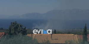 Εύβοια: Φωτιά στην περιοχή Λουκίσσια - Στη μάχη κατάσβεσης και μηχανήματα του Δήμου Εύβοια: Φωτιά στην περιοχή Λουκίσσια - Στη μάχη κατάσβεσης και μηχανήματα του Δήμου