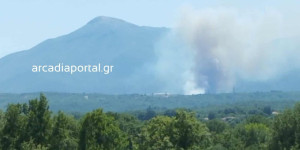 Υπό έλεγχο η φωτιά στην Αρκαδία: Έδωσαν μάχη οι δυνάμεις της Πυροσβεστικής Υπό έλεγχο η φωτιά στην Αρκαδία: Έδωσαν μάχη οι δυνάμεις της Πυροσβεστικής