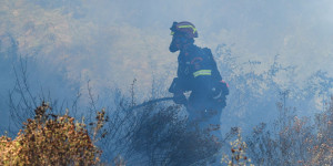 Συνελήφθη 55χρονος μελισσοκόμος για την πυρκαγιά στην Αλυκή Βοιωτίας Συνελήφθη 55χρονος μελισσοκόμος για την πυρκαγιά στην Αλυκή Βοιωτίας