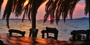 «Τρικυμία» στο TikTok με βίντεο Τούρκου από ελληνική ταβέρνα - «Μη δίνουμε λεφτά στους Έλληνες» «Τρικυμία» στο TikTok με βίντεο Τούρκου από ελληνική ταβέρνα - «Μη δίνουμε λεφτά στους Έλληνες»