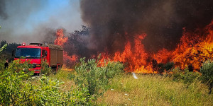Φωτιά σε δασική έκταση στους Μολάους Λακωνίας Φωτιά σε δασική έκταση στους Μολάους Λακωνίας
