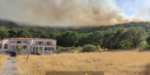 Φωτιά στο Καλλίθηρο Καρδίτσας - Ισχυρές πυροσβεστικές δυνάμεις στην περιοχή Φωτιά στο Καλλίθηρο Καρδίτσας - Ισχυρές πυροσβεστικές δυνάμεις στην περιοχή
