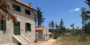 Βασιλικά Κτήματα Τατοΐου: Σε πλήρη εξέλιξη τα έργα - Το 2026 η απόδοση των μουσειακών υποδομών Βασιλικά Κτήματα Τατοΐου: Σε πλήρη εξέλιξη τα έργα - Το 2026 η απόδοση των μουσειακών υποδομών