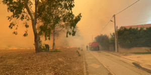 Φωτιά στο Κρυονέρι: Διακομίστηκαν σε νοσοκομεία 4 άτομα - Με εγκαύματα πυροσβέστης στο «401» Φωτιά στο Κρυονέρι: Διακομίστηκαν σε νοσοκομεία 4 άτομα - Με εγκαύματα πυροσβέστης στο «401»