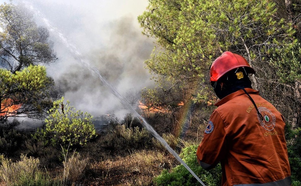 ΦΩΤΙΑ ΣΕ ΔΑΣΙΚΗ ΕΚΤΑΣΗ ΣΤΗ ΚΑΛΛΙΘΕΑ ΛΟΥΤΡΑΚΙΟΥ (EUROKINISSI/ ΣΥΝΕΡΓΑΤΗΣ)