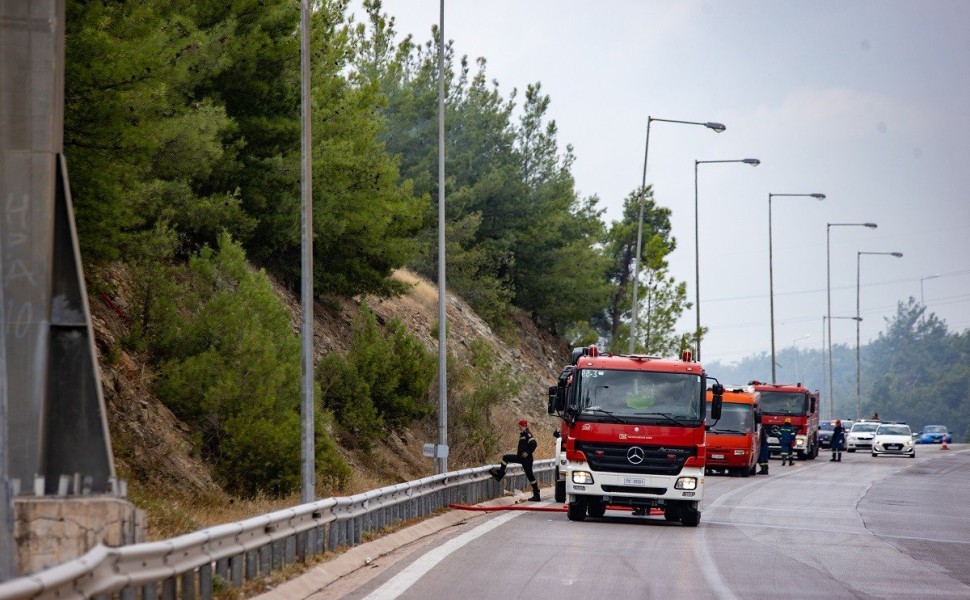 ΘΕΣΣΑΛΟΝΙΚΗ / ΠΥΡΚΑΓΙΑ ΣΤΟ ΔΑΣΟΣ ΤΟΥ ΣΕΙΧ ΣΟΥ (ΡΑΦΑΗΛ ΓΕΩΡΓΙΑΔΗΣ / EUROKINISSI)