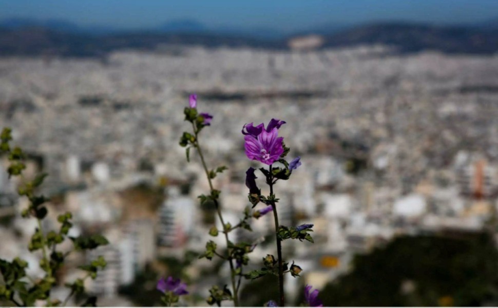 καιρός