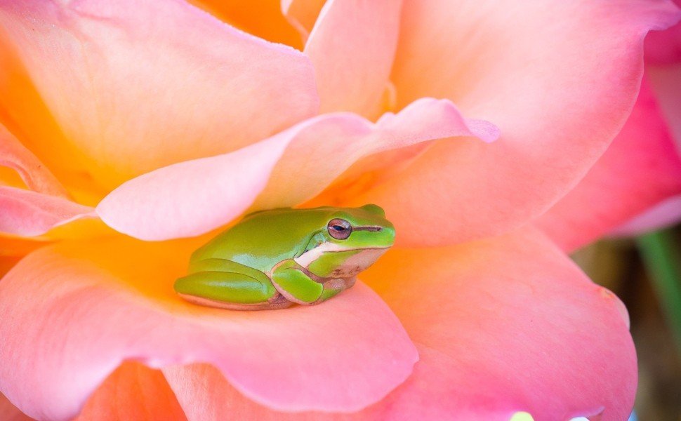 stephen-hocking/unsplash stephen-hocking/unsplash