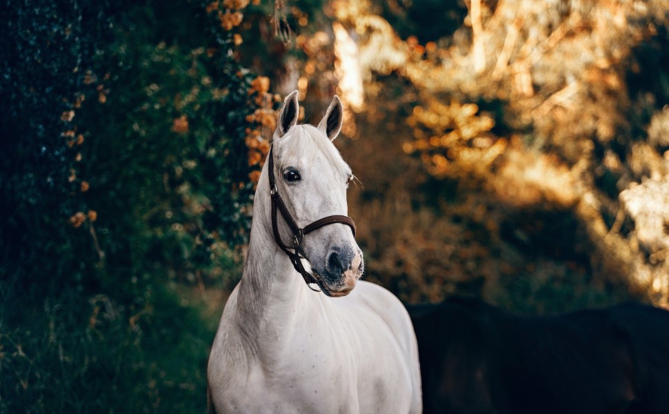 φωτο αρχείου unsplash