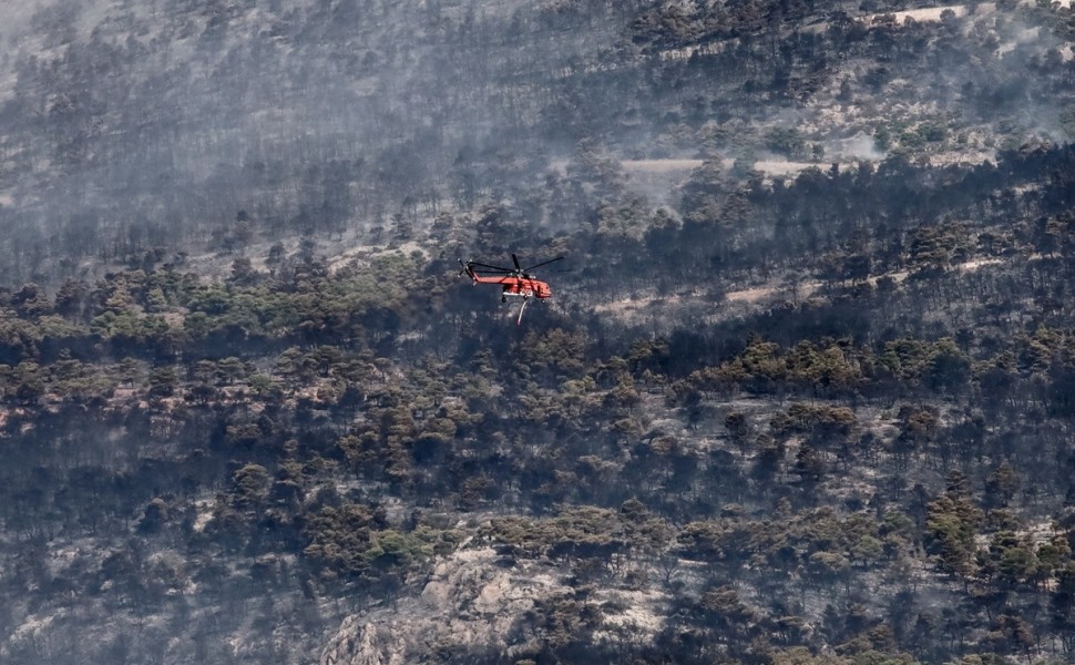 Πυρκαγιά στη Πάρνηθα. 3η Μέρα. Περιοχή Μπόσχιζα. Πέμπτη 24 Αυγούστου 2023  (ΚΩΣΤΑΣ ΤΖΟΥΜΑΣ / EUROKINISSI)