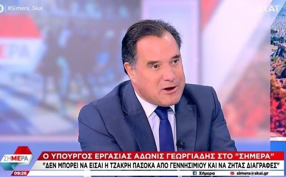 Άδωνις Γεωργιάδης/screenshot ΣΚΑΪ