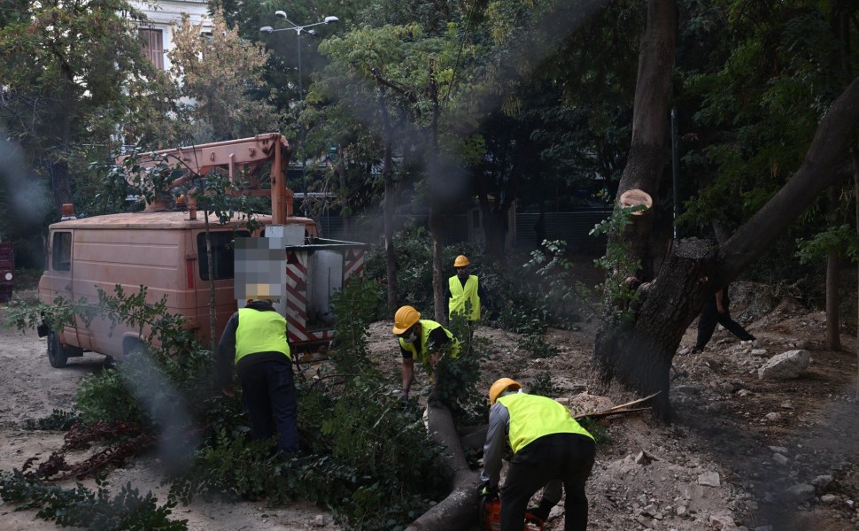 Εικόνα από την κοπή δέντρων στην πλατεία Εξαρχείων (Eurokinissi)