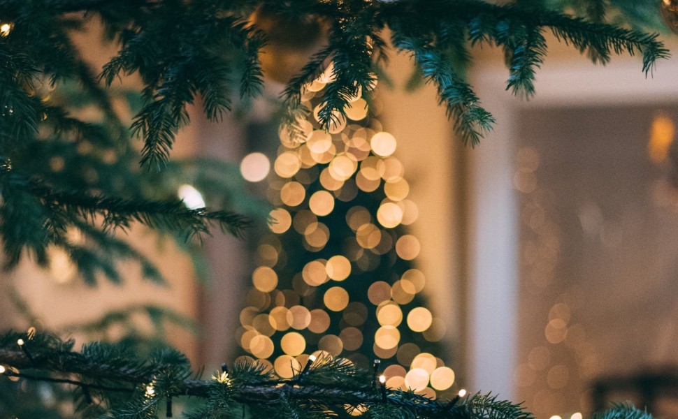 φωτό unsplash φωτό unsplash