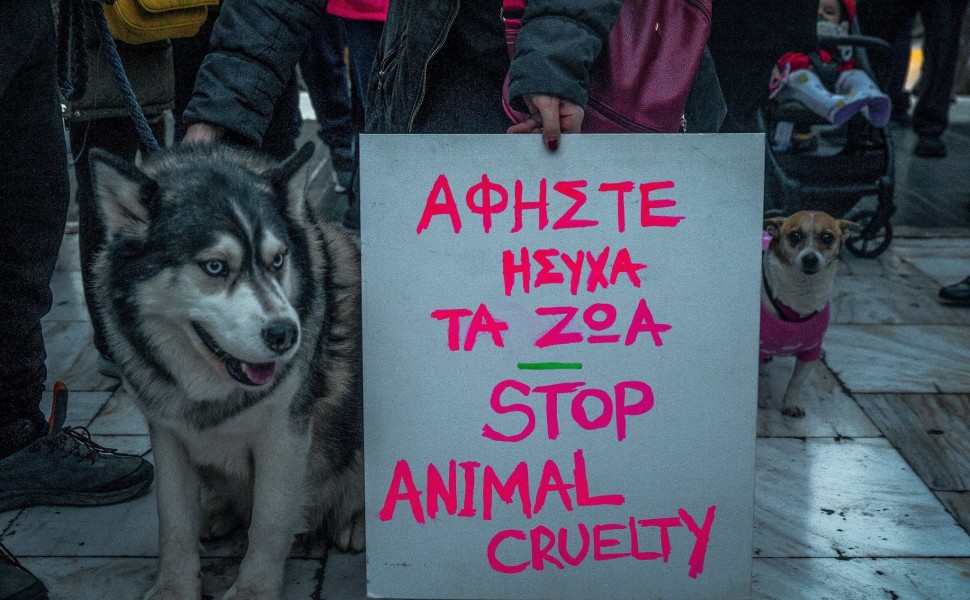 Συγκέντρωση διαμαρτυρίας για τον Όλιβερ στο Σύνταγμα / Φωτ. Αρχείου Eurokinissi