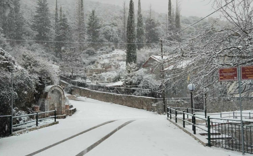 Φωτο: ΑΠΕ-ΜΠΕ/ΑΠΕ-ΜΠΕ/ΜΠΟΥΓΙΩΤΗΣ ΕΥΑΓΓΕΛΟΣ