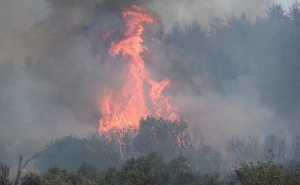 Καταστροφές απο την πυρκαγιά στην Αλεξανδρούπολη. Τρίτη 22 Αυγούστου 2023  (ΒΑΣΙΛΗΣ ΒΕΡΒΕΡΙΔΗΣ / ΜΟΤΙΟΝ ΤΕΑΜ)