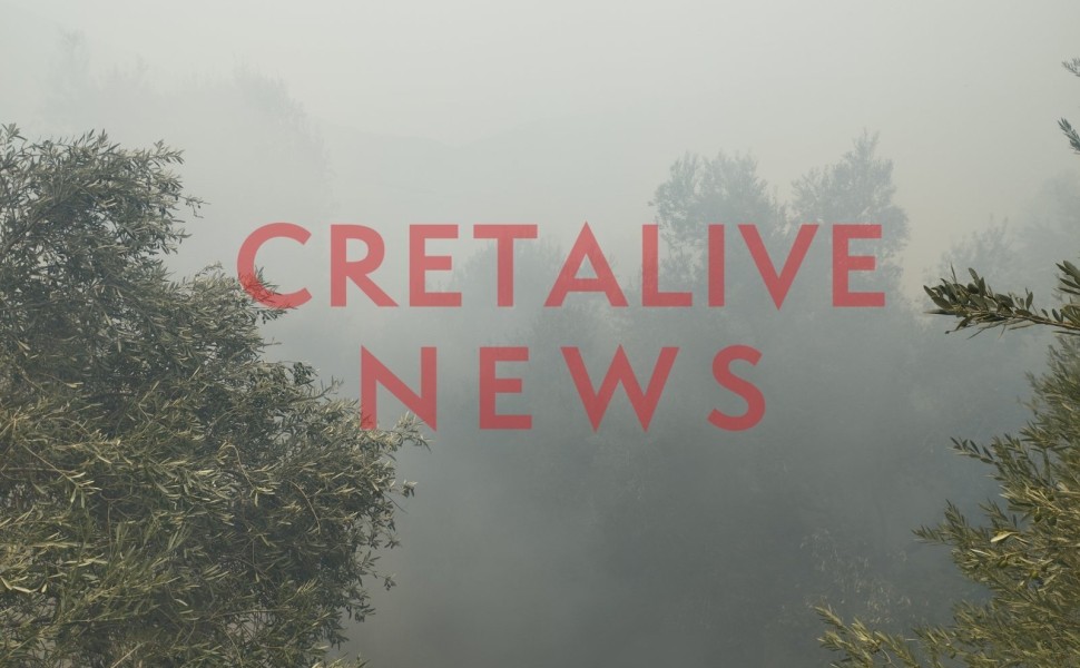 CRETALIVE NEWS