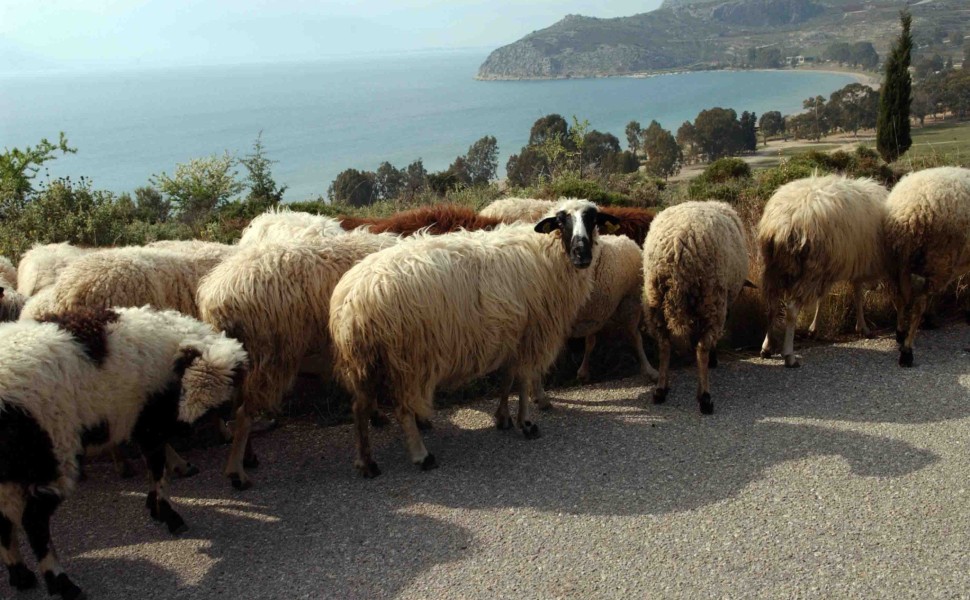 φωτ. αρχείου Eurokinissi