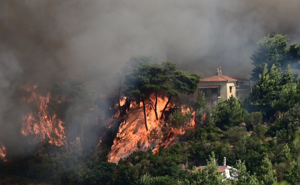 Φωτιά στον Βαρνάβα / Φωτ.: Eurokinissi