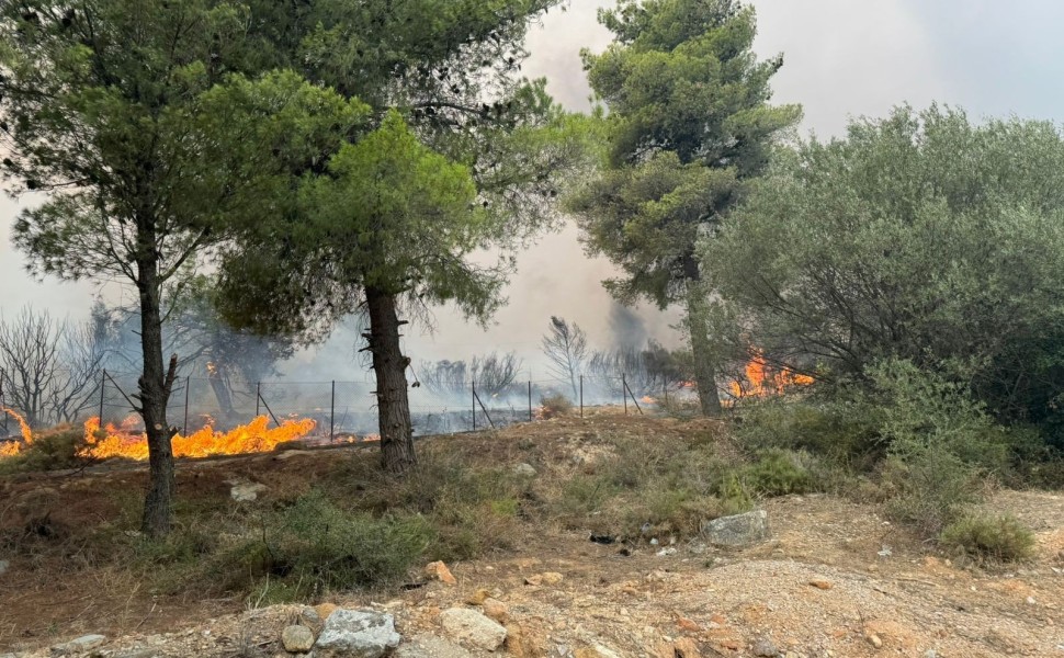 Φωτό αρχείου. Credits: Γιάννης Κέμμος/flash.gr