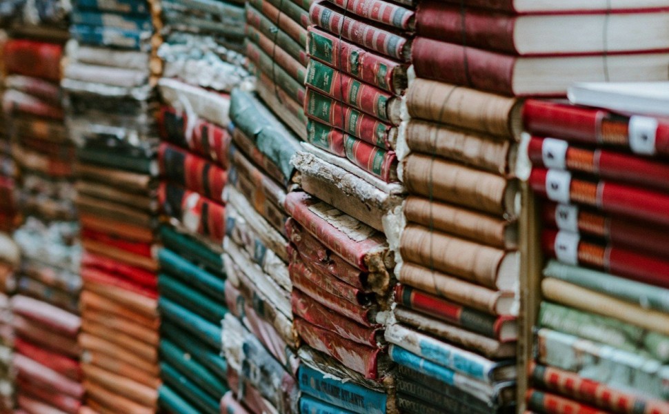 Photo by Annie Spratt on Unsplash Photo by Annie Spratt on Unsplash