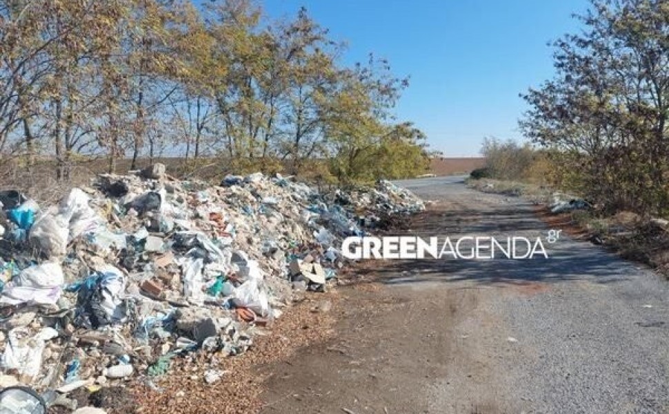 Πηγή: greenagenda.gr