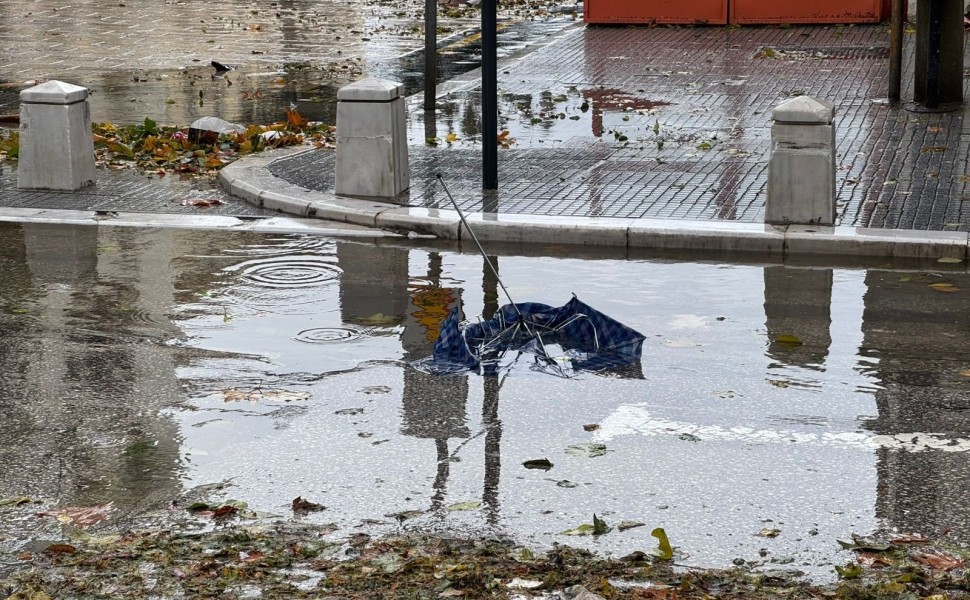 Γιάννης Κέμμος / flash.gr