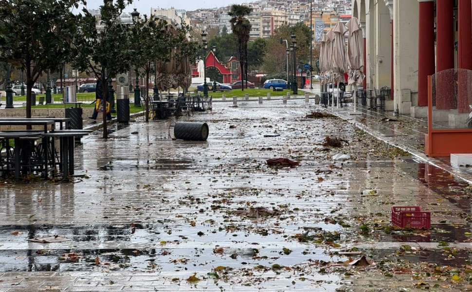 Γιάννης Κέμμος / flash.gr