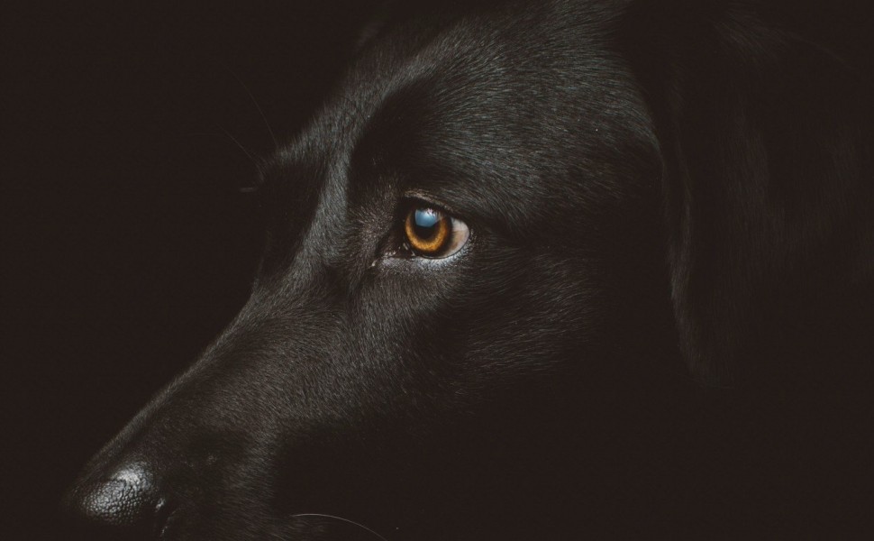 Unsplash