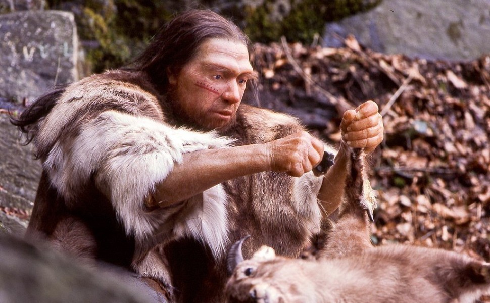 Neanderthal-Museum, Mettmann - Wikimedia