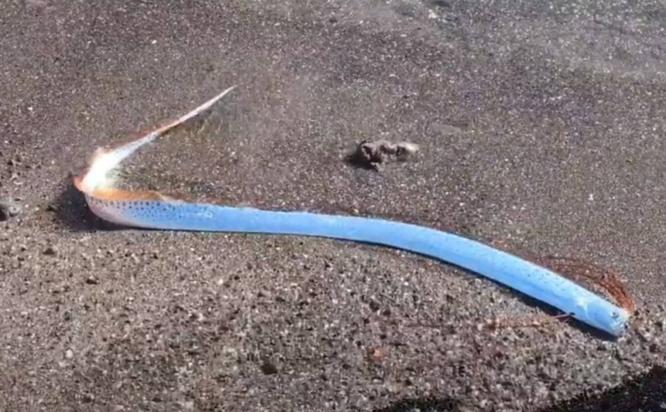 Image via YouTube Image via YouTube