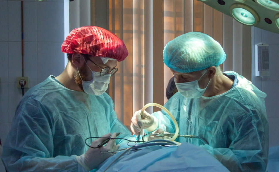 Organ transplant/Unsplash Organ transplant/Unsplash