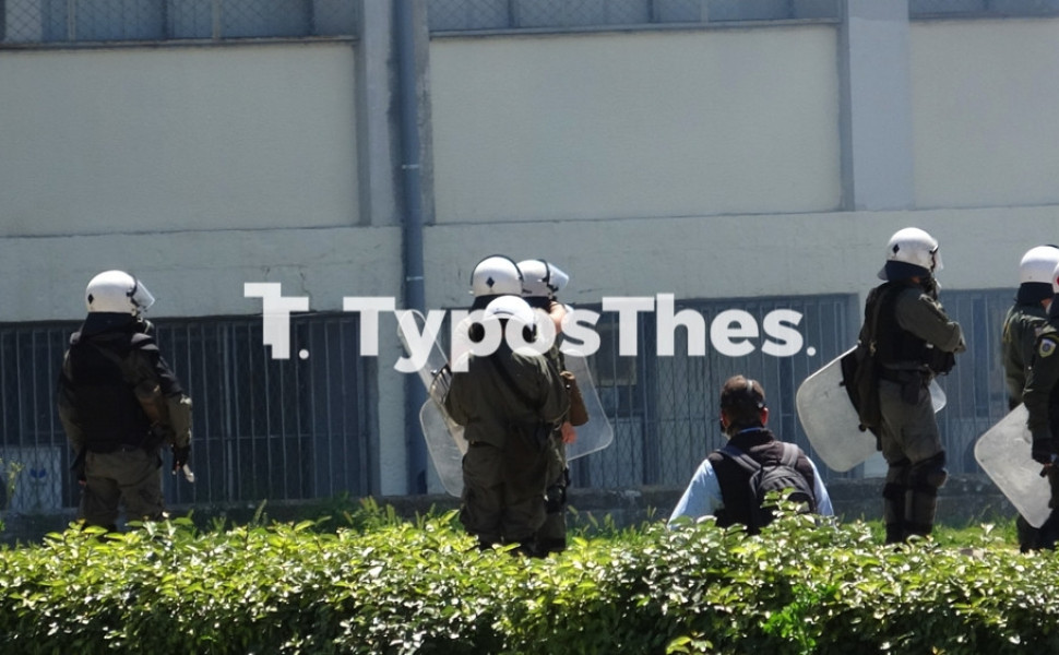 Typosthes